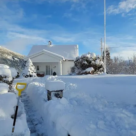 Norwegian Fjords Time Out *