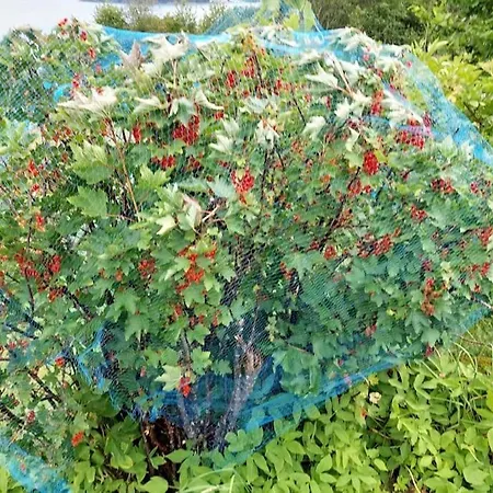 Norwegian Fjords Time Out شقة *